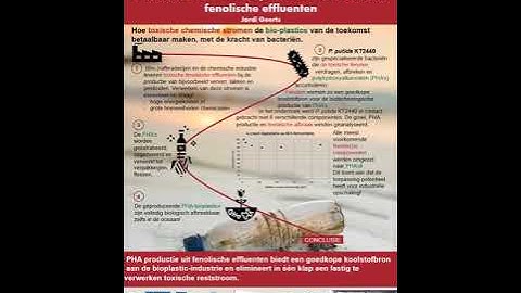 ie-net-prijzen 2020 - Geerts Jordi