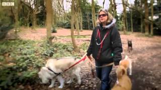 BBC - London Calling: Part Three - Hampstead (25/6/12) (384p)