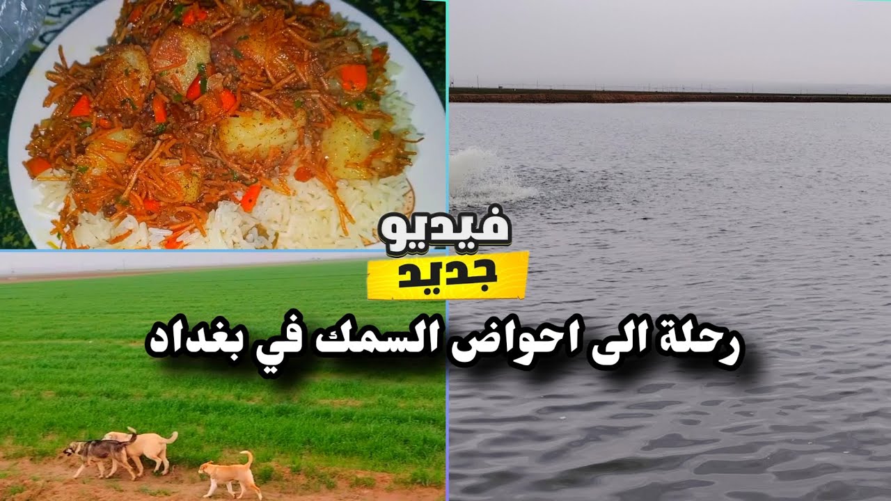 رحلة نهاية الاسبوع الى احواض السمك في بغداد 🔥هلة بالخميس🔥برياني وشربت برتقال 😍مشاهدة ممتعة 🥰#اكسبلور