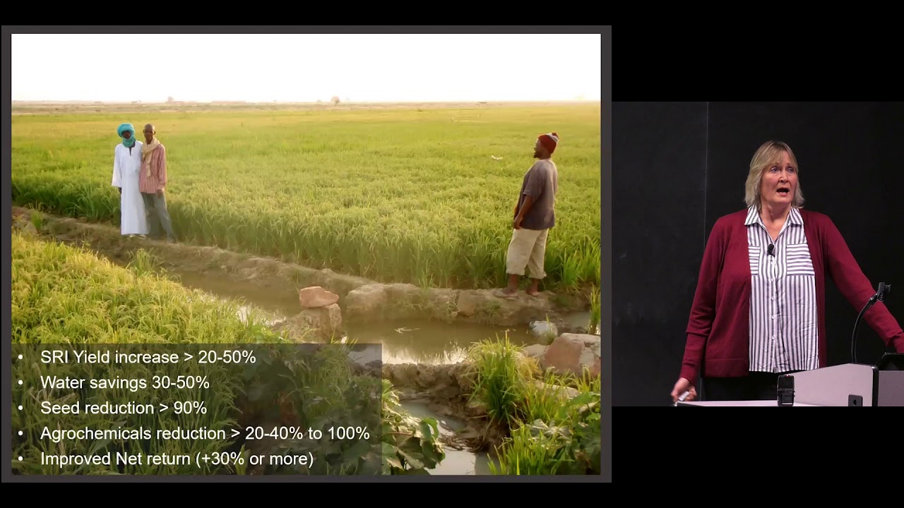 Erika Styger - Making Research and Extension work for Rice Farmers in West Africa