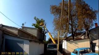 видео Заказ работ по спиливанию и обрезке деревьев с помощью автовышки