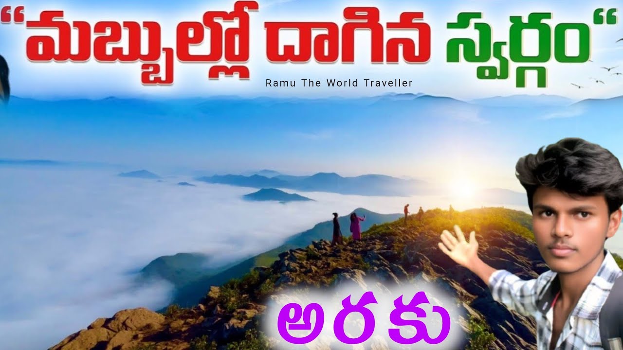 Vanajangi hills | The heaven on earth | Araku full tour in telugu | Vanajangi clouds  | Paderu in ap