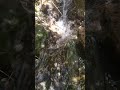 الداحنة ـ منطقة الغبيب ـ شرعب السلام ـ تعز انهار تستمر طوال السنه