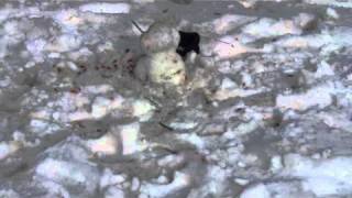 snowman exploding head trick