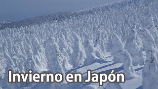 Invierno en Japón