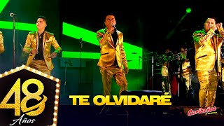 Video thumbnail of "Te Olvidaré - Caribeños "48 Años" Vol. 2 (Homenaje a Edwin Alcántara)"