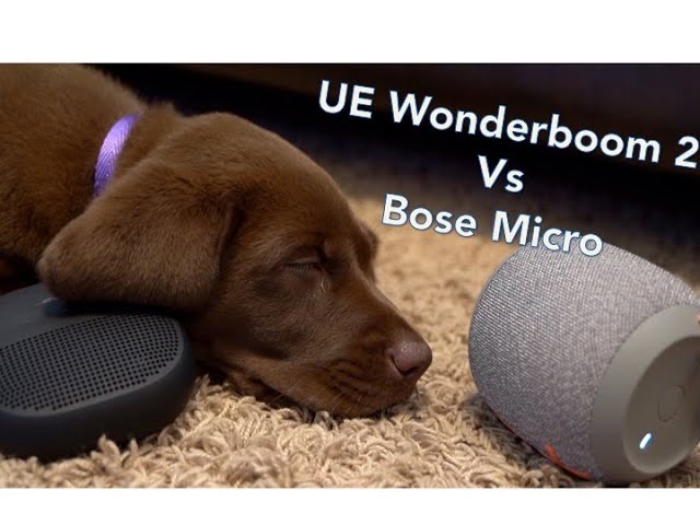 UE Wonderboom 2 vs Bose Micro, You will 