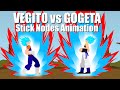 Vegito Vs Gogeta - Stick Nodes Animation!