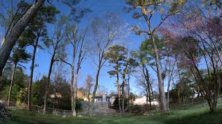 Star Trails Looking Northerly, March 23/24, 2024.