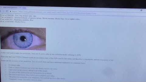 How To Use Gedmatch.com Tutorial