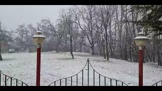 First snowfall of season in Srinagar | JK News Today screenshot 5