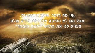אהבה בלי תנאים