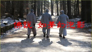 201510 佛说　如梦幻泡影20353