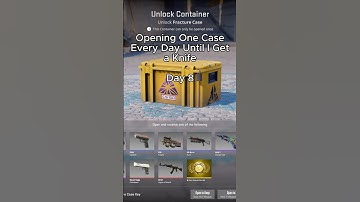 Opening 1 CS2 Case Every Day Until I Get A Knife: Day 8
