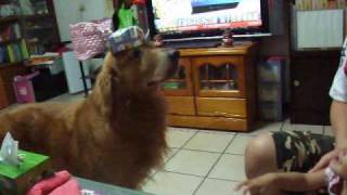 DSCF9807-1.wmv