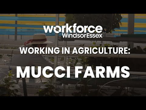 Working in Agriculture: