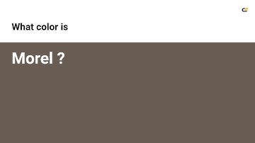 Morel color #685c53 hex color - Brown color - Cool color 685c53