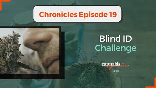 Blind Identification Challenge with Certified Cannabis Sommeliers | CHRONICLES Ep 19