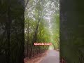 Upamaka beach #love #arrahman #bollywood #trending #dance #youtubeshorts #beach