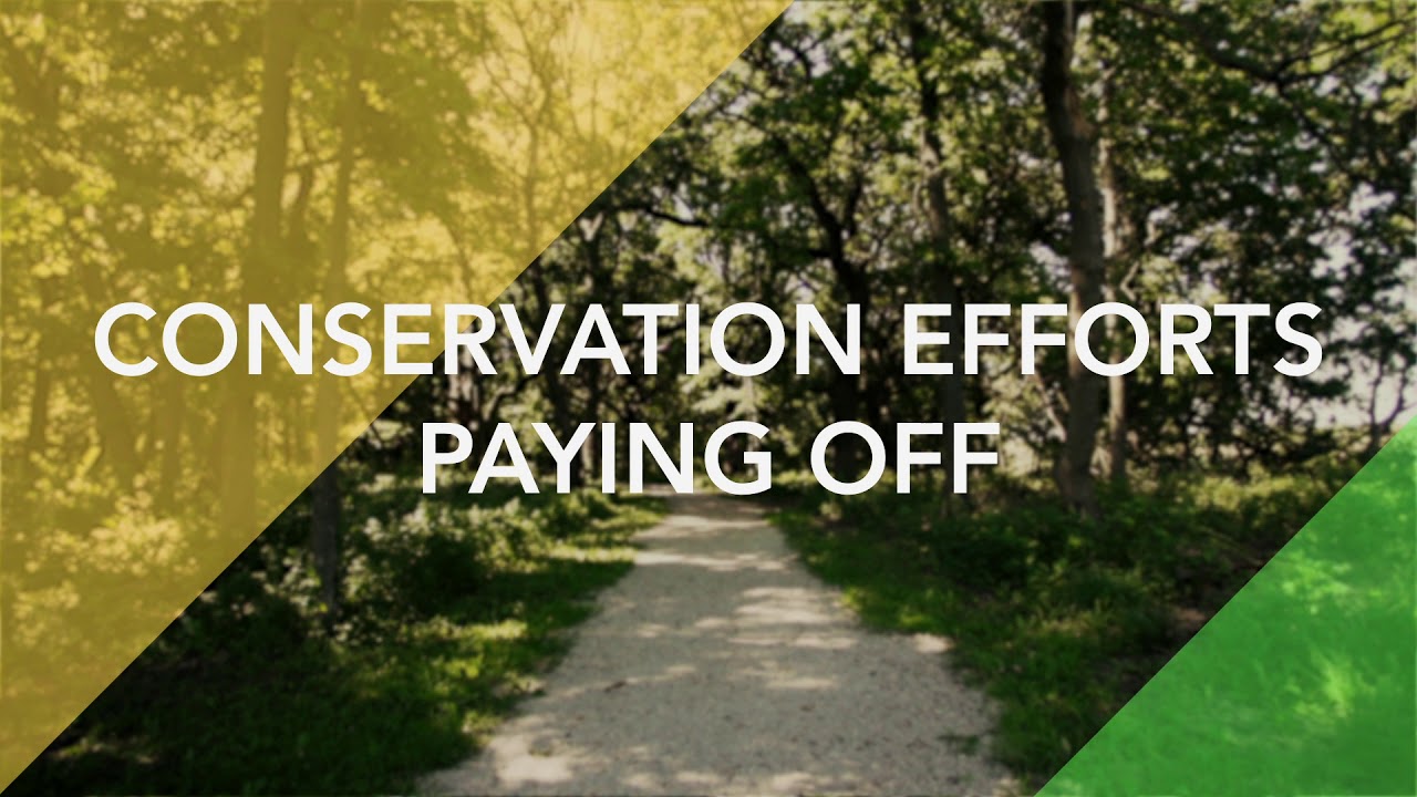 Brown's Woods - See Our Impact