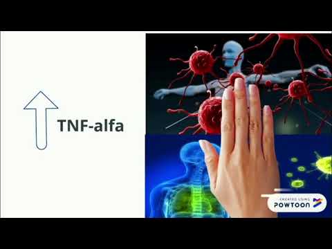 Anticuerpos monoclonales Anti TNF alfa
