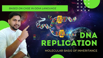 DNA REPLICATION | MOLECULAR BASIS OF INHERITANCE | DNA REPLICATION MECHANISM IN ODIA