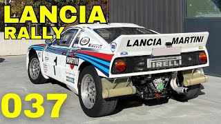 Hasegawa 25030: Car scale model kit 1/24 scale - Lancia 037 Rally