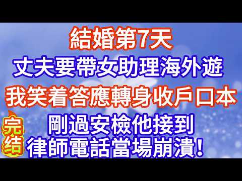 結婚第7天，丈夫要帶女助理海外雙人遊，我笑着答應轉身收戶口本，剛過安檢他接到律師電話當場崩潰！#完结文#情感故事#一口气看完
