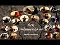 Soy Sudamericano - Versión sinfónica - Montojo y La Suma &amp; KASHMIR Orquesta