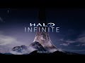 Halo Infinite UI Test