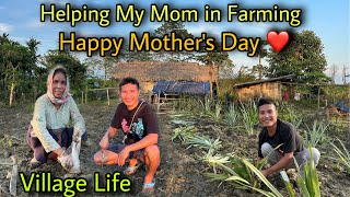 Helping My Mom in Farming ||Happy Mothers Day🥰 ||Green Vegetables Farming in Village ||Village Life