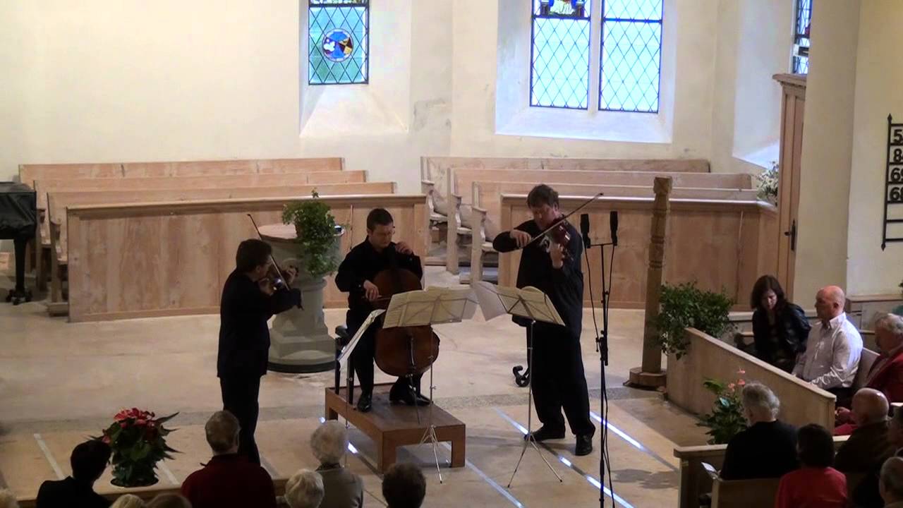 Niziol String Trio plays Beethoven String Trio Serenade Op.8 - YouTube