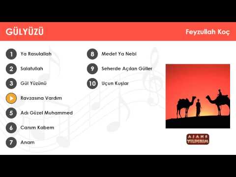 Ravzasına Vardım - Feyzullah Koç