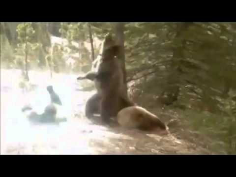 Дом 2,Прикол,,Джигурда,Порно,Шлюхи,Секс,эротика,Жесть,Сиськи,Попка,Пиздец,Голые,улётное вид