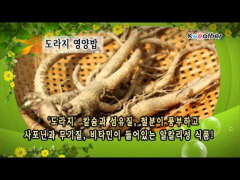 [날씨] 12월05일_맛있는날씨_호흡기 건강에 좋은 '도라지 영양밥'