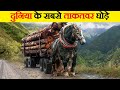 दुनिया के सबसे शक्तिशाली घोड़े | Most Powerful Horses in the World | Most powerful Horse Breeds