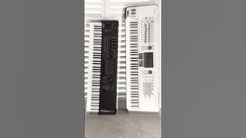 Yamaha MODX M is een kleine krachtpatser! #modxm