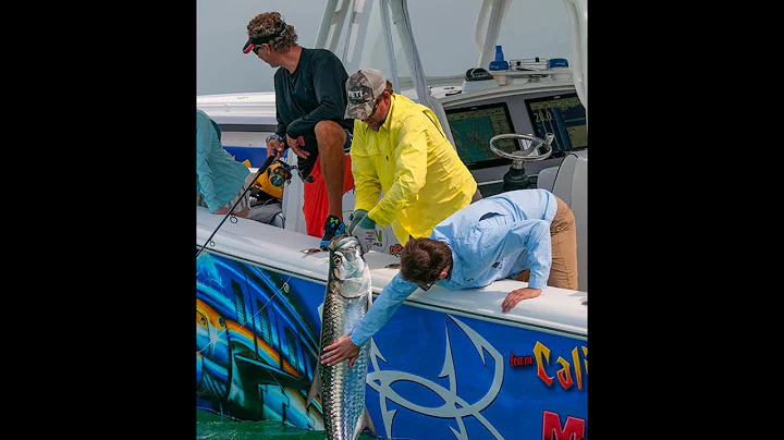 Into The Blue: "A Wish For Fish - Todd Blake" 2014...