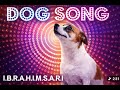 Dog Song Chicken Song New Edit By Original Creator
