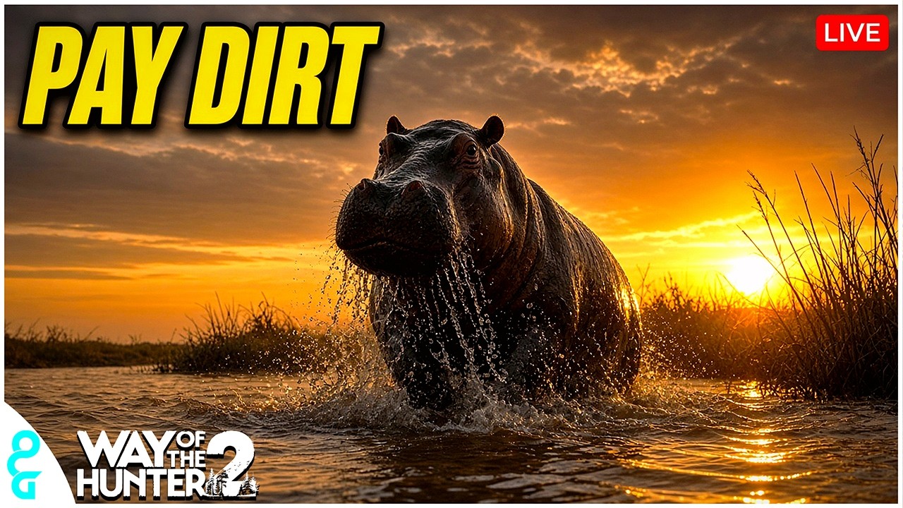 To Kilimaya for Hippo Cash on Hard Difficulty - Way of the Hunter 2 | LIVE