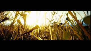 [Cyberpunk 2077] Dolly Shot Backward (Photomode cameramove)