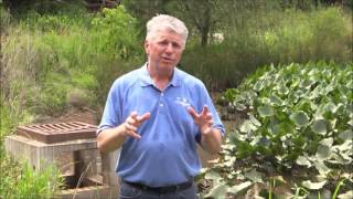 Stormwater Utility and Fee