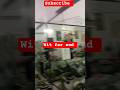 सिर्फ डम्बल से ट्राइसेप्स बनाओ 💪#shorts #youtubeshorts #reels#reelsinstagram#fitnessreels #ytshorts