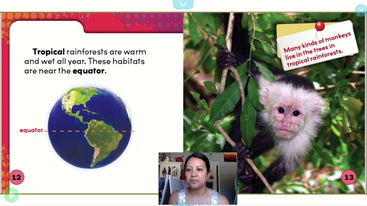Read aloud Animal Habitats by Julie Lundgren YouTube