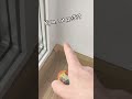 Кум ти де Кум ти де