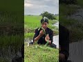 Kalian harus tau jenis u1ar ini #reptiles