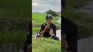 You Need To Know About This Snake Species reptiles