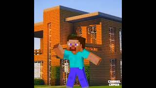 Steve Dançando Funk