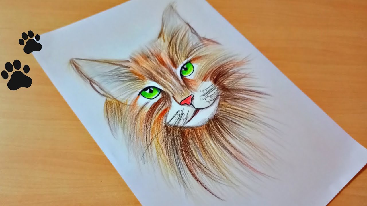 Color Pencil Drawing A Cat With Colored Pencils Backgrounds | JPG Free  Download - Pikbest