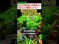 【朗報】片山さつき「男女共同参画や外国人留学生への補助金はムダ、予算を削ります」